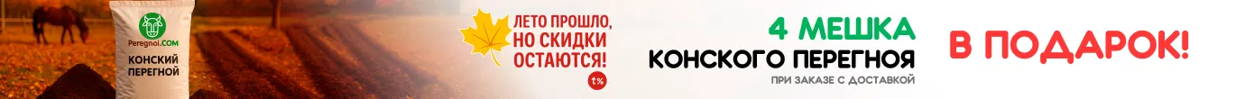 4 мешка перегноя в подарок - осень