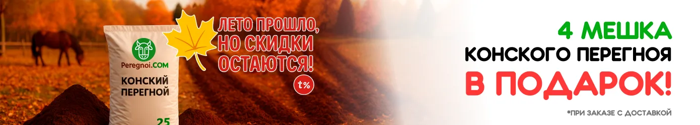 4 мешка перегноя в подарок - осень